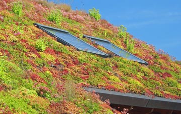 Chalbury Common living roof systems