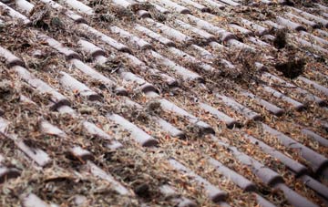 Chalbury Common roof cleaning companies