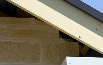 soffit repair Chalbury Common